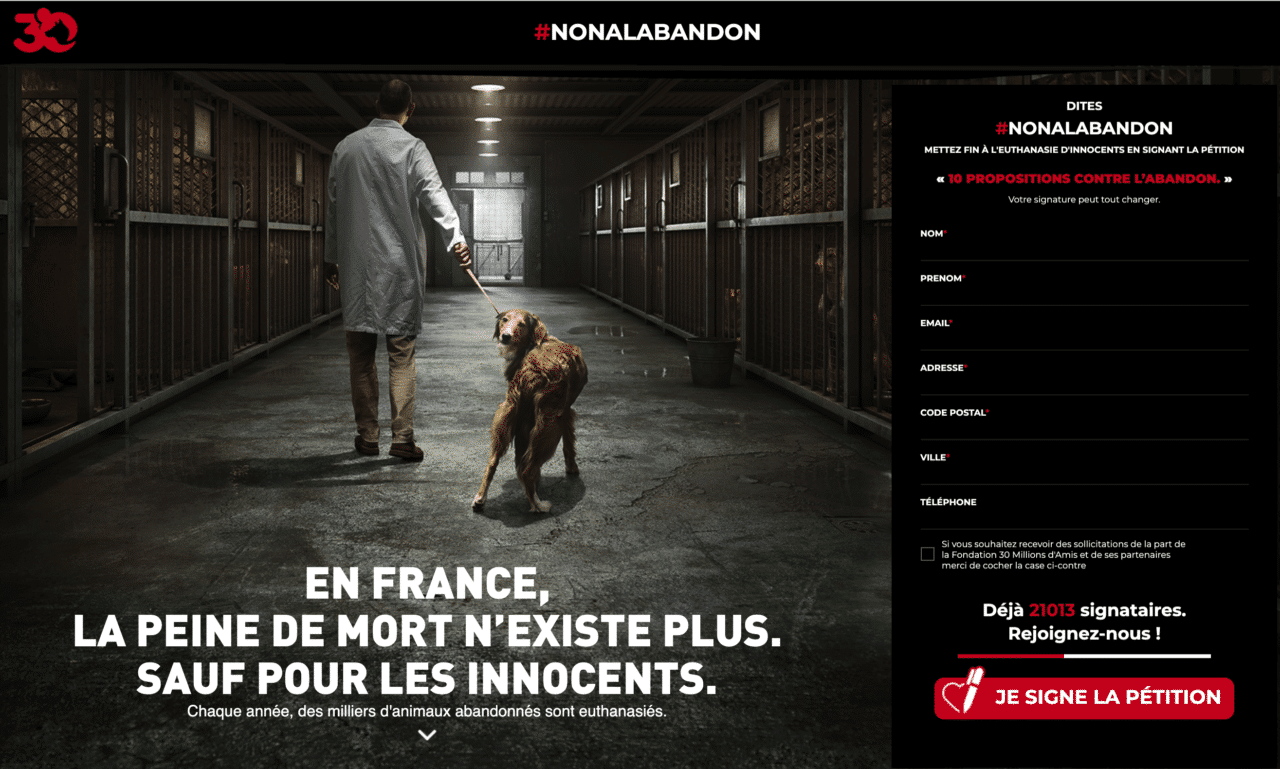 Samedi 26 juin journée mondiale contre labandon des animaux de