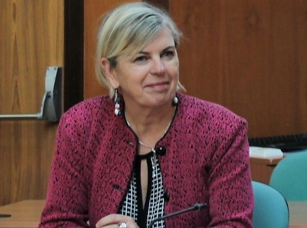 Patricia Goriaux, Directrice Orange Sud