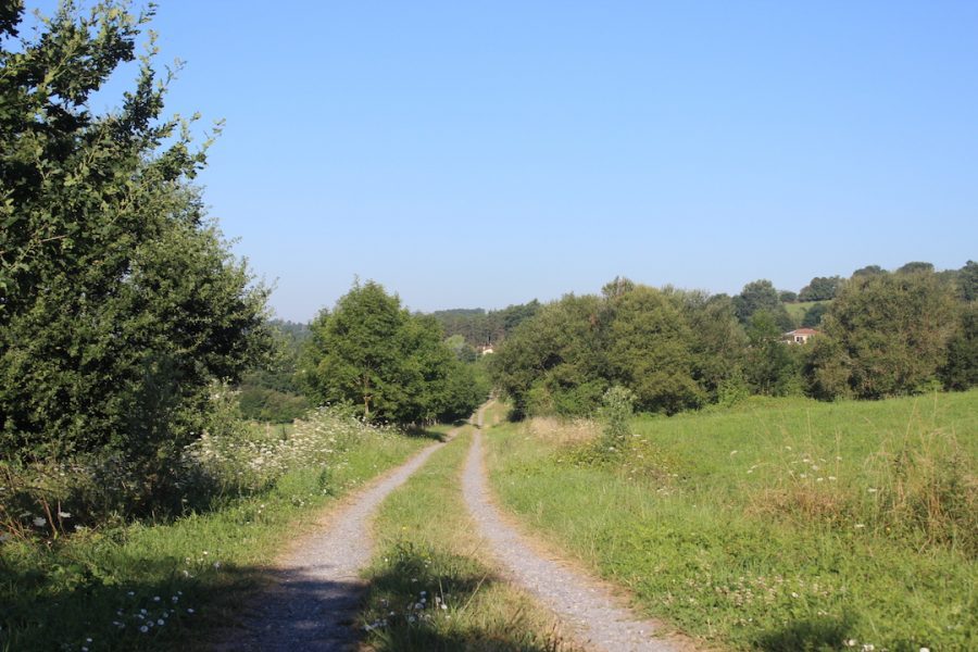 Landorthe A découvrir absolument ! Petite