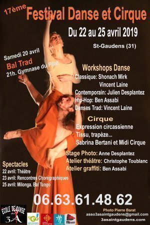 Affiche festival Danse et Cirque