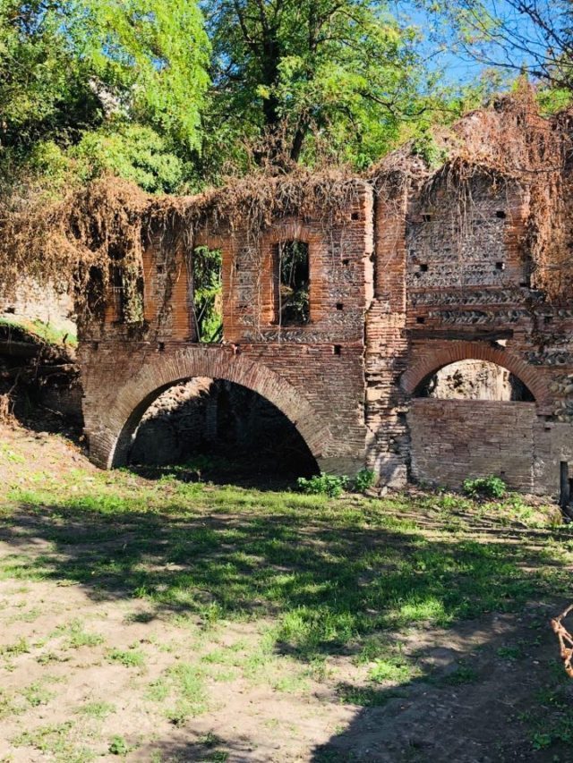 Journée du Patrimoine au Domaine de La Terrasse à Carbonne Petite