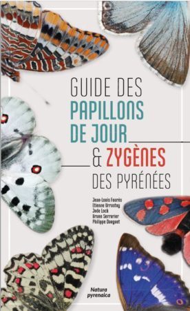 Guide des papillons de jour et Zygènes dans les Pyrénées