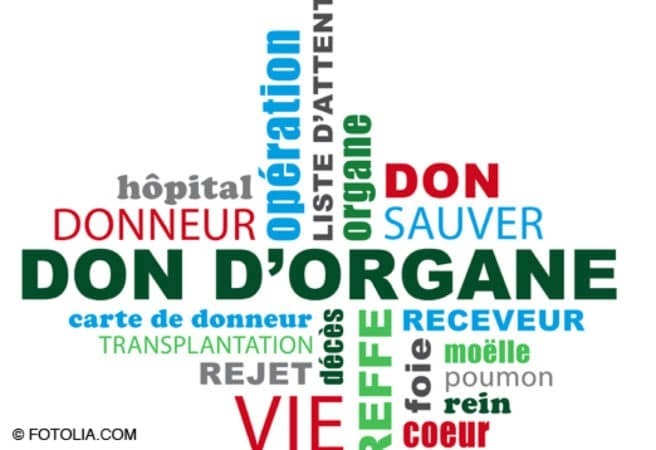 don d'organes