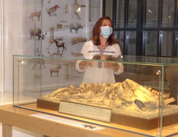 La paléoanthropologue Amélie Vialet commente la découverte de l'ours des cavernes, exposé au musée de Montmaurin.