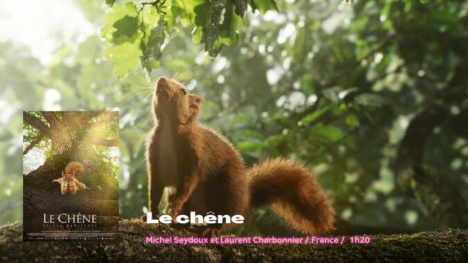 A l'affiche du Ciné Lumière de Boulogne cette semaine, Le Chêne et The Batman.