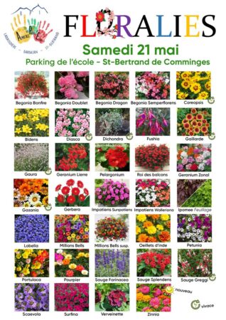 Les Floralies St Bertrand