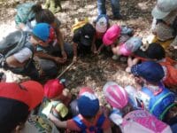 Les Enfants de la maternelle 'Les Eterlous' de Luchon jeu en forêt d'Ariège !
