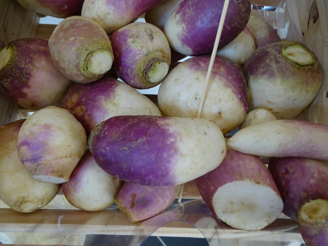 Jardiner avec Sylvie Le Navet h ros m connu du potager Petite