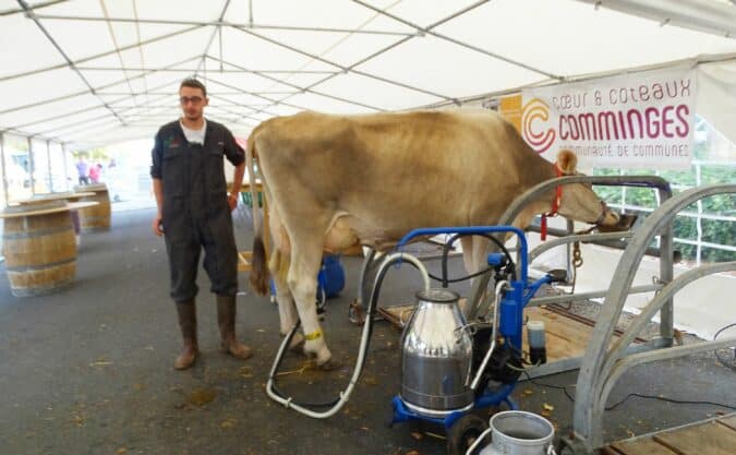 Le pôle laitier et le CNIEL aux Journées du Boulonnais, ici dégustation de lait frais avec Mathias Chassot et sa vache Aurélia.