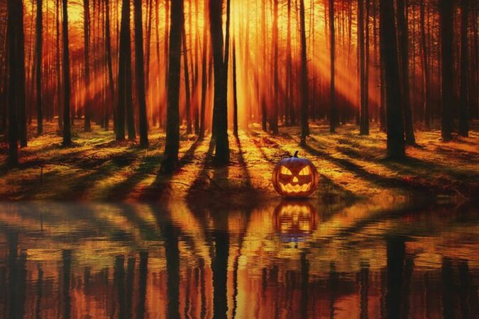 Attention soirée horrifique pour Halloween à l'arboretum de Cardeilhac le 31 octobre.