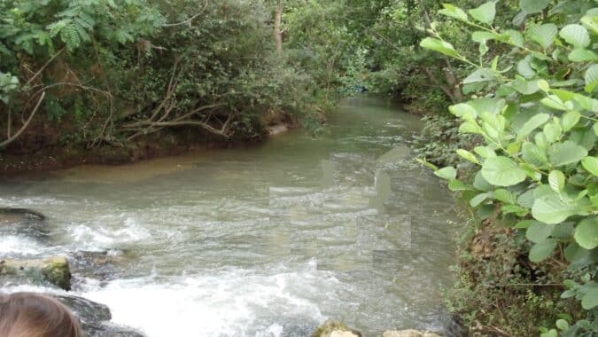 Les rivières du bassin versant de la Save doivent retrouver leur niveau, les pluies seront elles suffisantes ? le Syndicat de rivière s'interroge.
