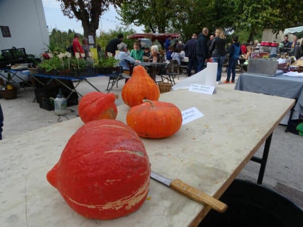 La courge déclinée sous toutes ses formes et un repas à thème dimanche 30 octobre au marché de Monléon Magnoac.