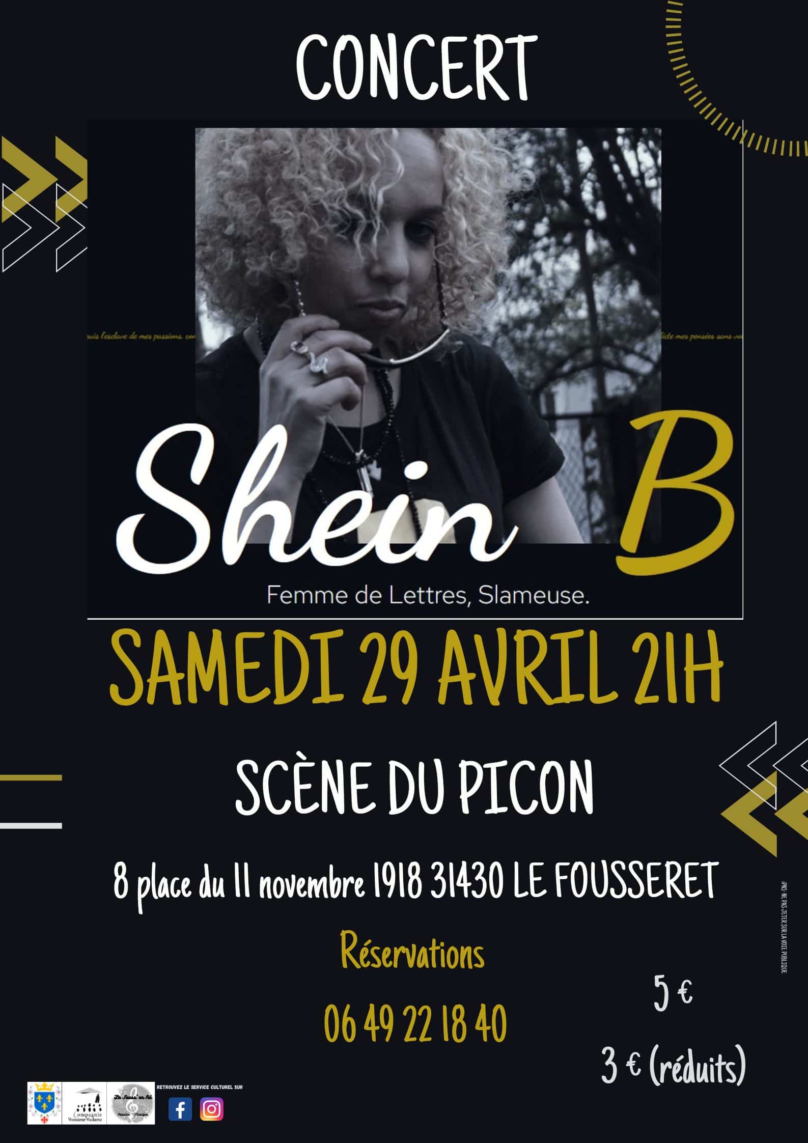 Affiche_shein_b_ - Petite République.com