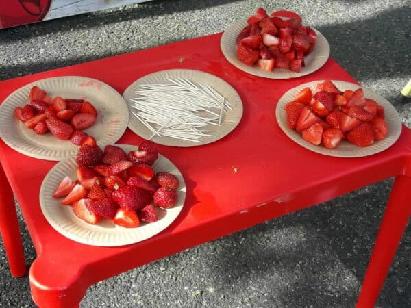 Un samedi dédié à l'éco-tourisme, sous le signe de la fraise, à L'Isle en Dodon. Parfait succès.