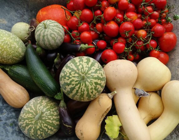 Des paniers de légumes et autres produits bio et locaux, à retirer à la Glissade, c'est désormais possible à partir du 14 juin.