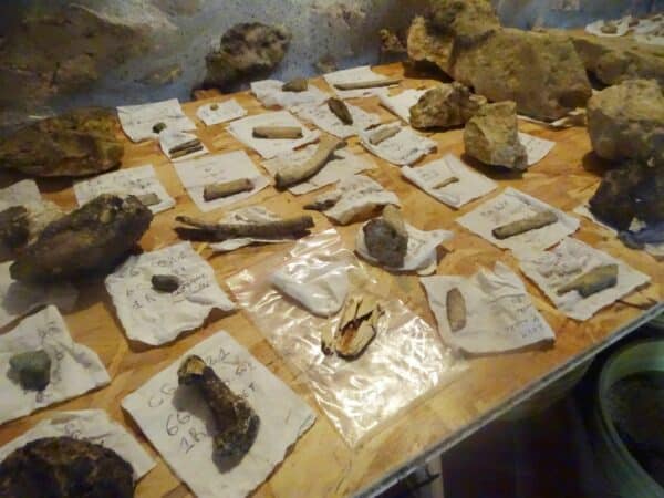 La paléontologue Amélie Vialet revient avec son équipe de scientifiques continuer les recherches sur les sédiments collectés à Montmaurin lors des précédentes campagnes de fouilles.