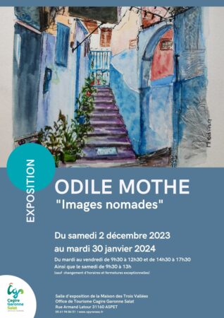 Du samedi 2 décembre 2023 au mardi 30 janvier 2024, la salle d’exposition de l’Office de Tourisme Cagire Garonne Salat accueille Odile MOTHE et sa nouvelle exposition "Images nomades".