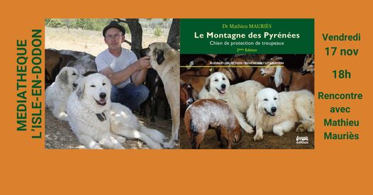 L'auteur Mathieu Mauriès viendra présenter son livre à la Médiathèque de L'Isle en Dodon, "Le montagne des Pyrénées, chien de protection des troupeaux."