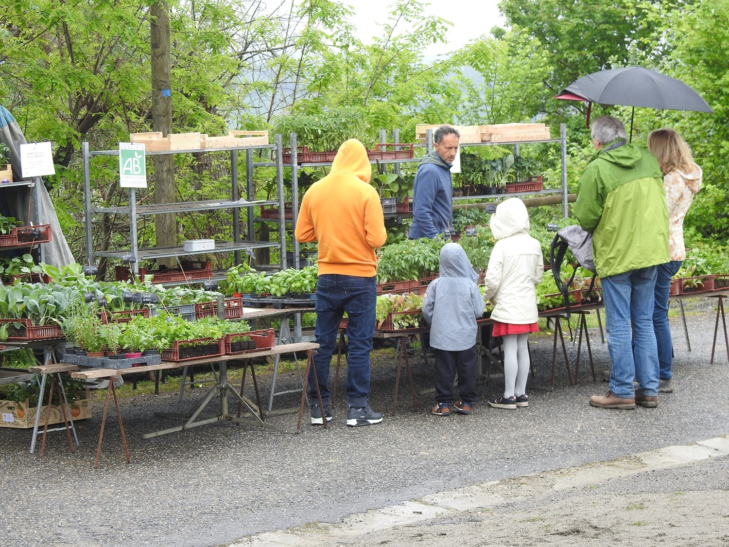 ..MontégutBourjac plantes (3) Petite